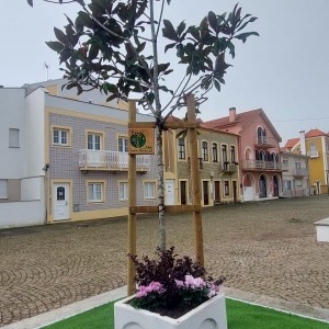 Instalação de novas plantas.jpg II.jpg III
